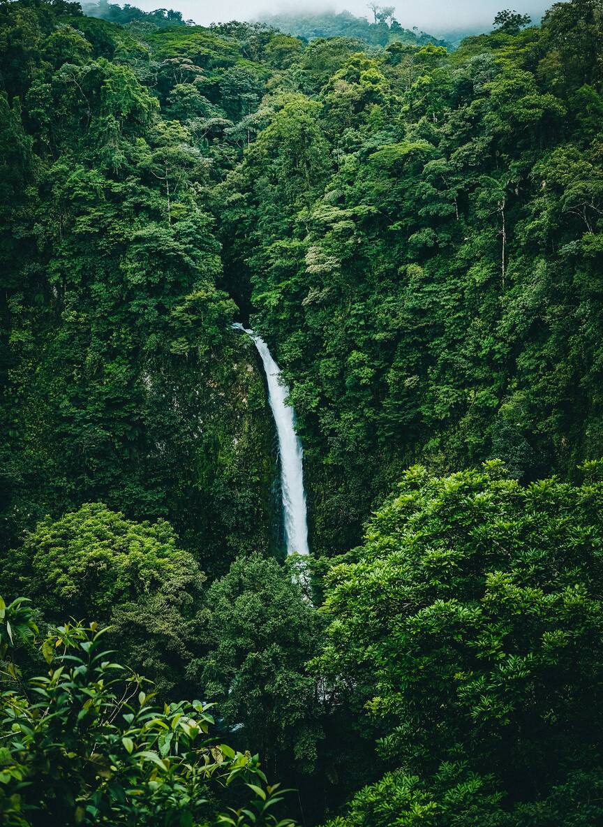 Waterfall dropping through the rainforest canopy in Costa Rica